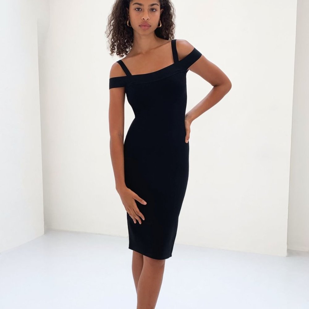 NWT Ten by Babaton Starlight Dress